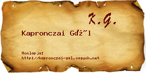 Kapronczai Gál névjegykártya